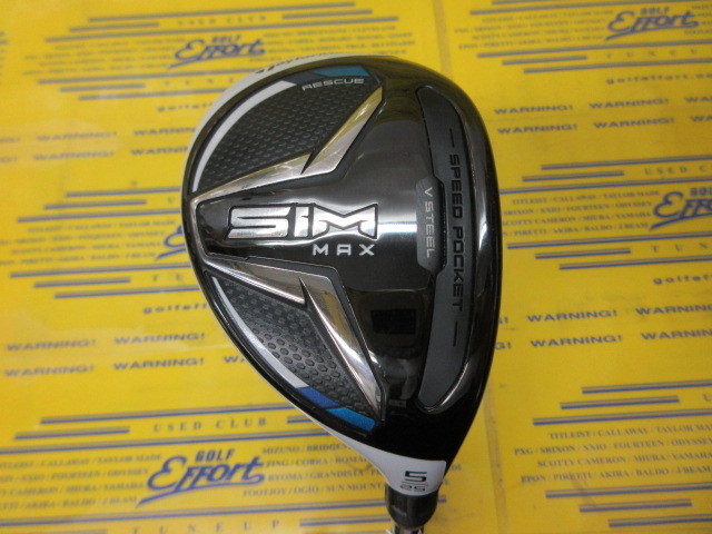 SIM Max Driver