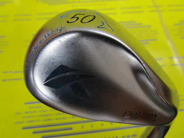 DW113