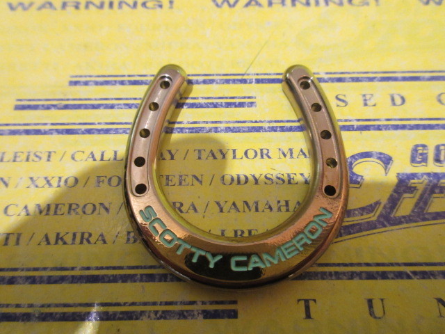 CAMERON COIN GET LUCKY HORSE SHOE