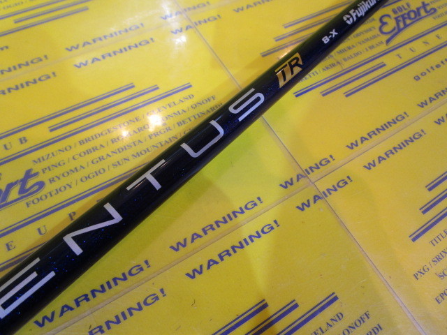 VENTUS TR BLUE 8 VELOCORE