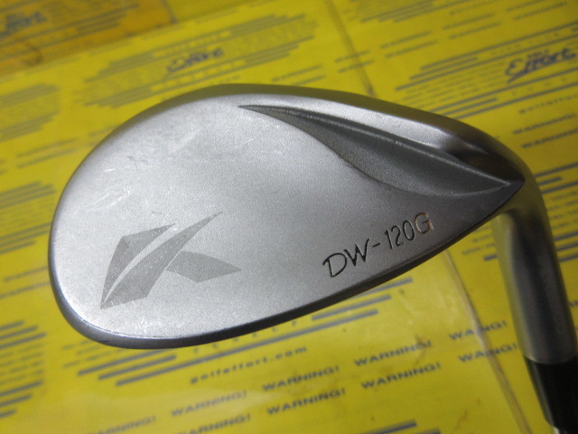 キャスコ　DW120G