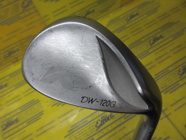 キャスコ　DW120G