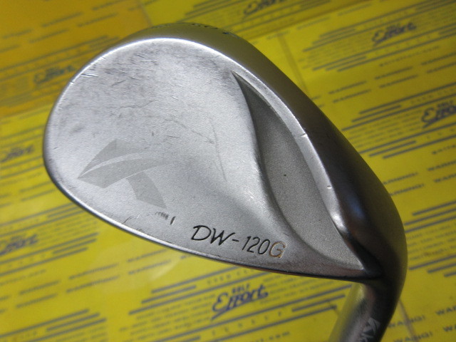 キャスコ　DW120G