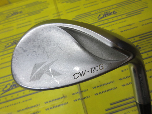 キャスコ　DW120G