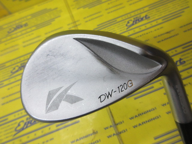 キャスコ　DW120G
