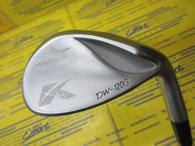 キャスコ　DW120G