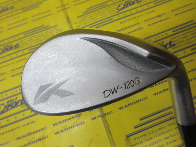 キャスコ　DW120G