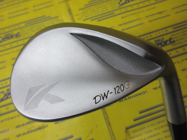 キャスコ　DW120G