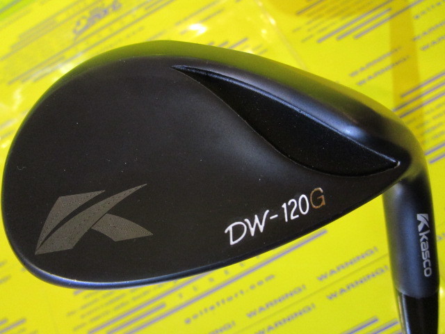 キャスコ　DW120G BLACK