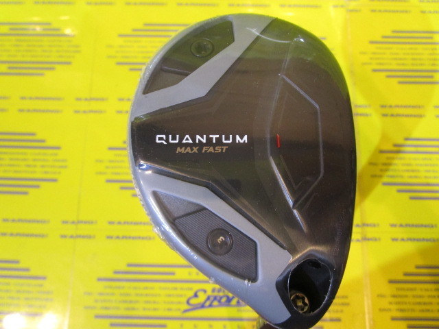 QUANTUM MAX FAST 8H��SPDSTAR 40 LDY �y34߁EL�z �����g�p��