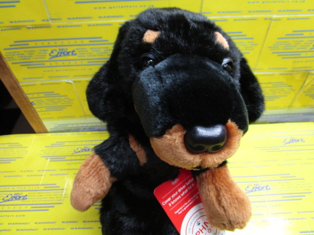 DAPHNE'S　Dachshund DR