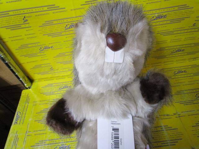 DAPHNE'S　Gopher DR