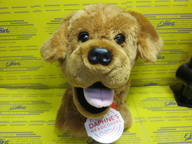 DAPHNE'S<br>Golden Retriever DR