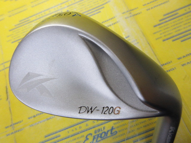 DW120G